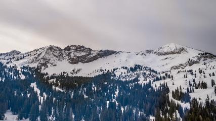 Alta: Alta (alta.com)