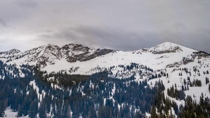 Alta: Alta (alta.com)