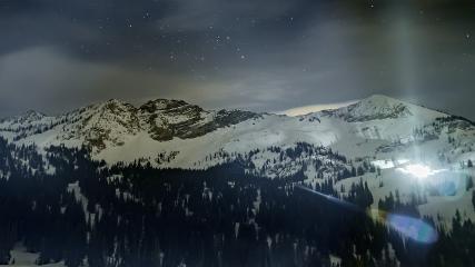 Alta: Alta (alta.com)