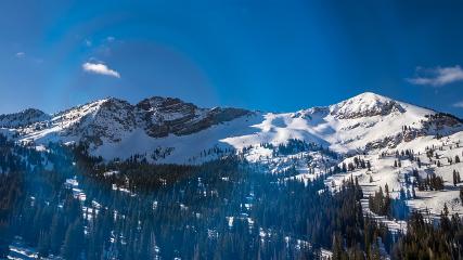 Alta: Alta (alta.com)