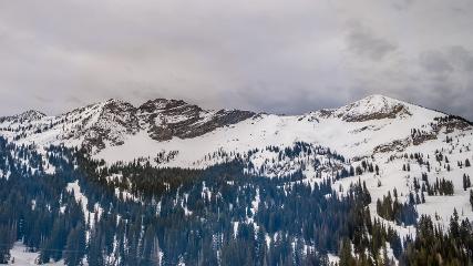 Alta: Alta (alta.com)