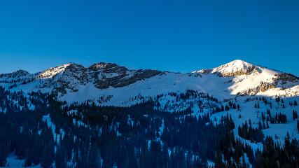 Alta: Alta (alta.com)