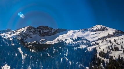 Alta: Alta (alta.com)