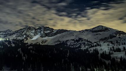 Alta: Alta (alta.com)