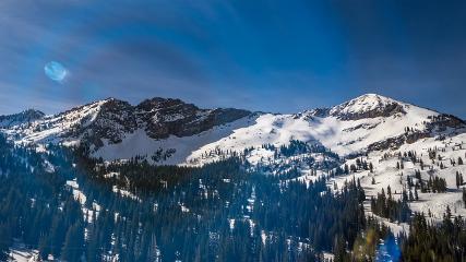 Alta: Alta (alta.com)