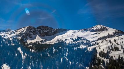 Alta: Alta (alta.com)