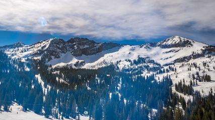 Alta: Alta (alta.com)