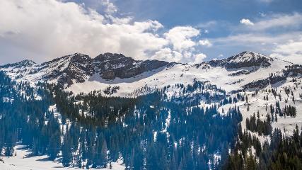 Alta: Alta (alta.com)