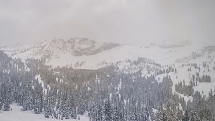 Alta: Alta (alta.com)