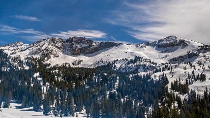 Alta: Alta (alta.com)