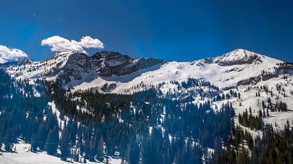 Alta: Alta (alta.com)