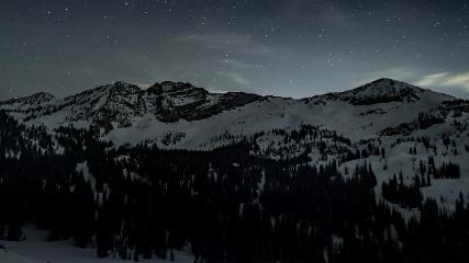 Alta: Alta (alta.com)