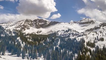 Alta: Alta (alta.com)