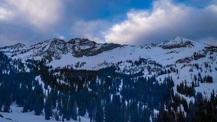 Alta: Alta (alta.com)