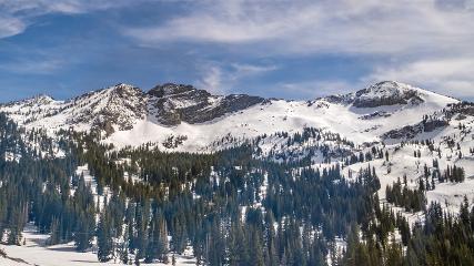 Alta: Alta (alta.com)