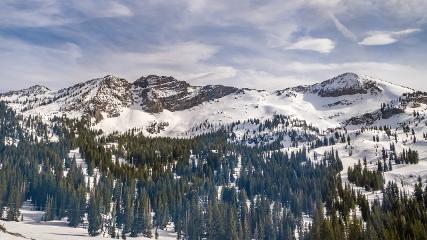 Alta: Alta (alta.com)