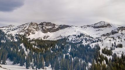 Alta: Alta (alta.com)