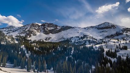 Alta: Alta (alta.com)