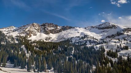 Alta: Alta (alta.com)