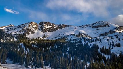 Alta: Alta (alta.com)