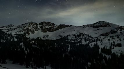 Alta: Alta (alta.com)