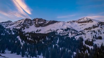 Alta: Alta (alta.com)