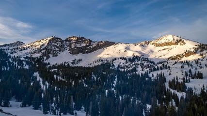 Alta: Alta (alta.com)