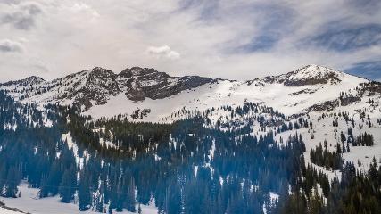 Alta: Alta (alta.com)