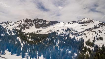 Alta: Alta (alta.com)