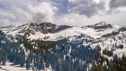 Alta: Alta (alta.com)