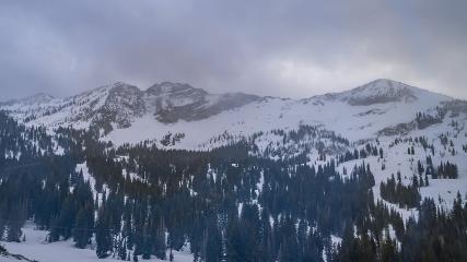 Alta: Alta (alta.com)