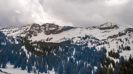 Alta: Alta (alta.com)