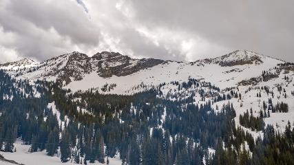 Alta: Alta (alta.com)