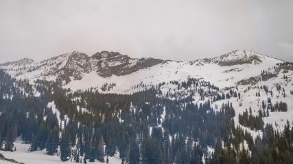 Alta: Alta (alta.com)