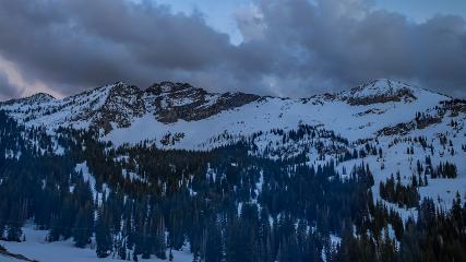 Alta: Alta (alta.com)