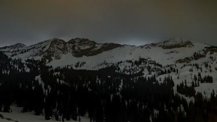 Alta: Alta (alta.com)