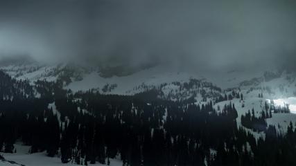 Alta: Alta (alta.com)