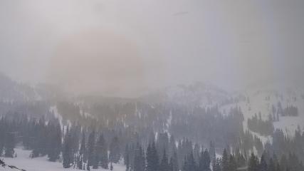 Alta: Alta (alta.com)