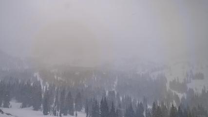 Alta: Alta (alta.com)