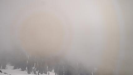 Alta: Alta (alta.com)