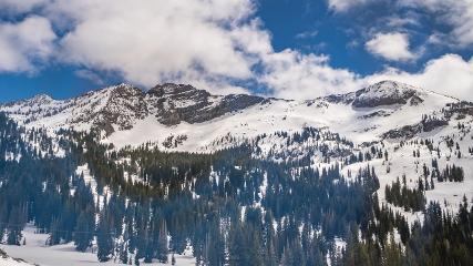 Alta: Alta (alta.com)