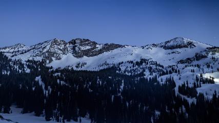 Alta: Alta (alta.com)