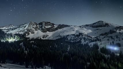 Alta: Alta (alta.com)