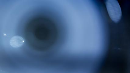 Alta: Alta (alta.com)