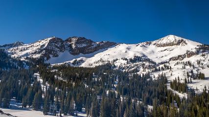 Alta: Alta (alta.com)