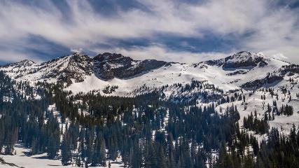 Alta: Alta (alta.com)