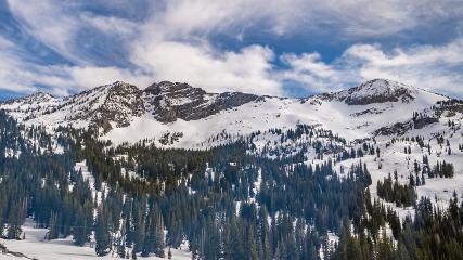 Alta: Alta (alta.com)