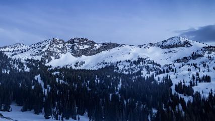 Alta: Alta (alta.com)