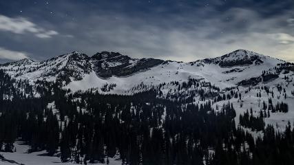 Alta: Alta (alta.com)