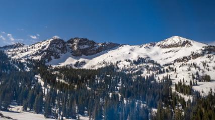 Alta: Alta (alta.com)